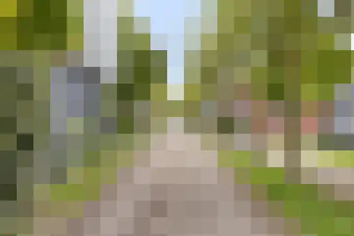 Veldbloemlaan 63 Vleuten thumbnail 35