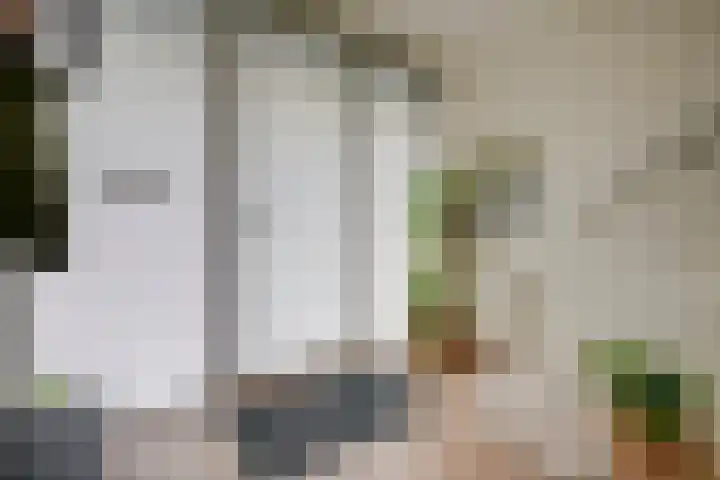 Veldbloemlaan 65 Vleuten thumbnail 12