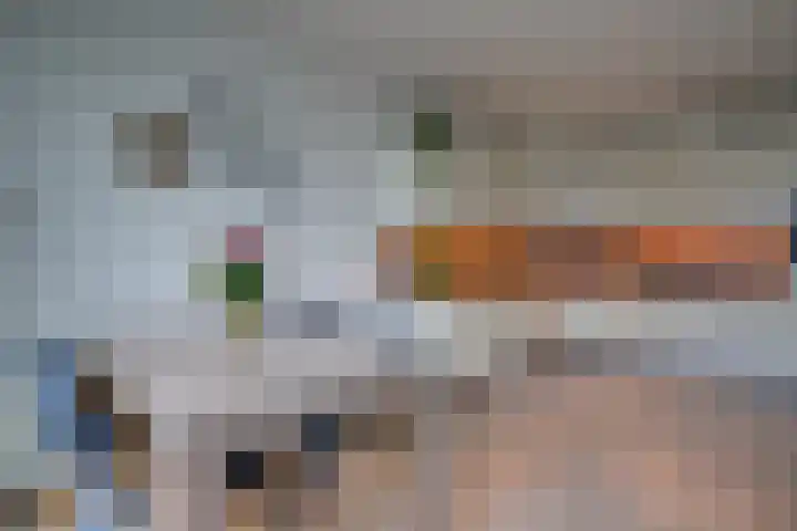 Veldbloemlaan 65 Vleuten thumbnail 19