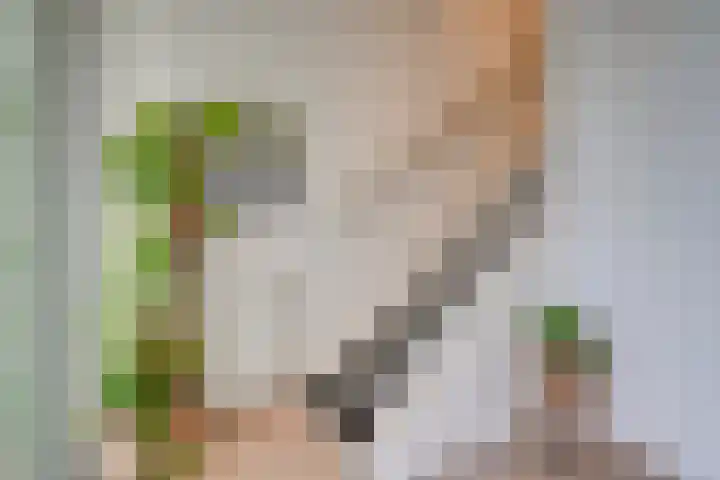 Veldbloemlaan 65 Vleuten thumbnail 28