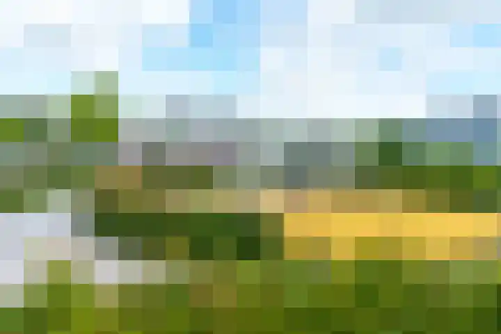 Veldbloemlaan 65 Vleuten thumbnail 41