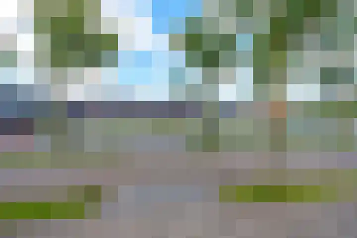 Veldbloemlaan 65 Vleuten thumbnail 42
