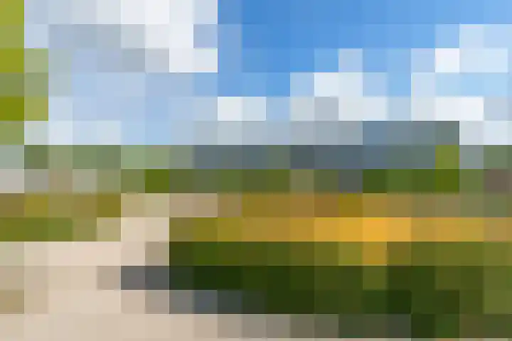 Veldbloemlaan 65 Vleuten thumbnail 43