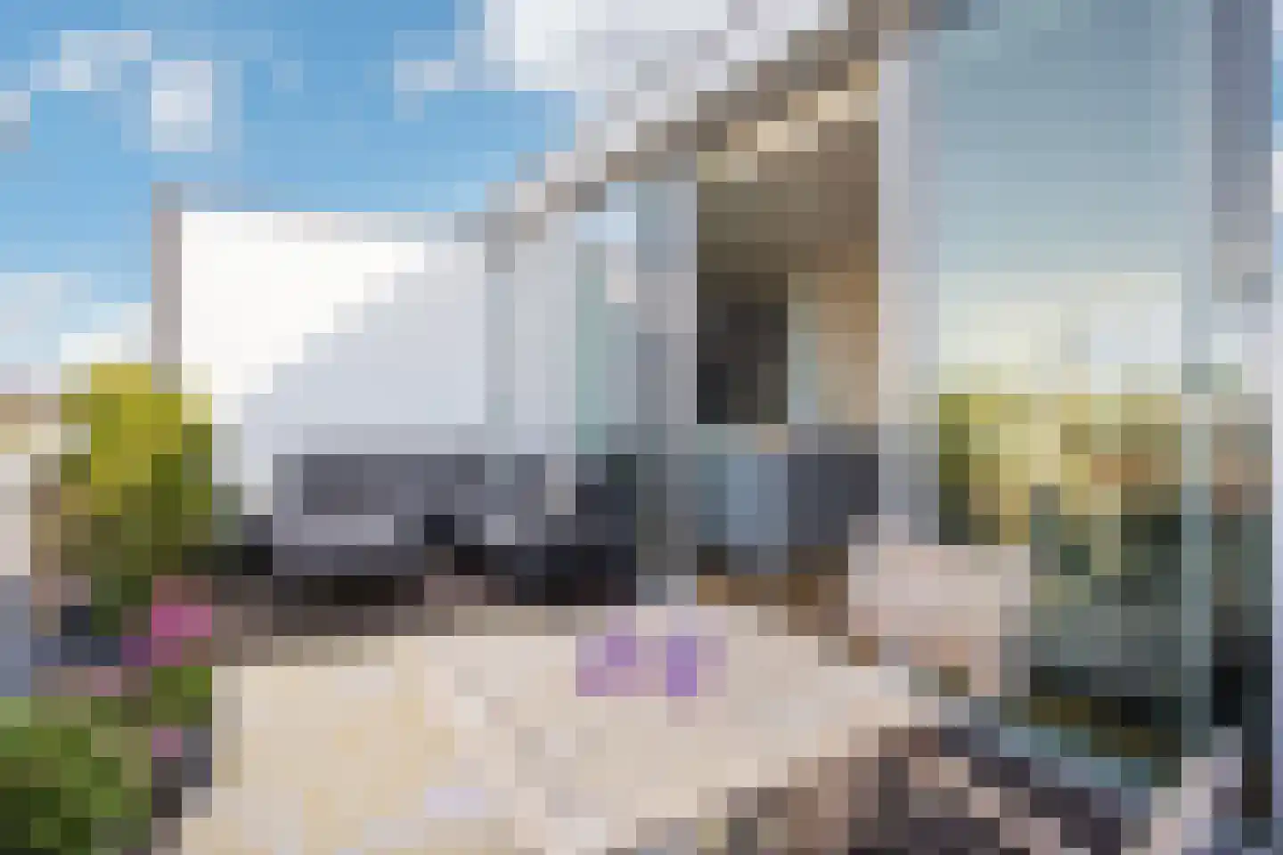 Veldbloemlaan 67 Vleuten thumbnail 18