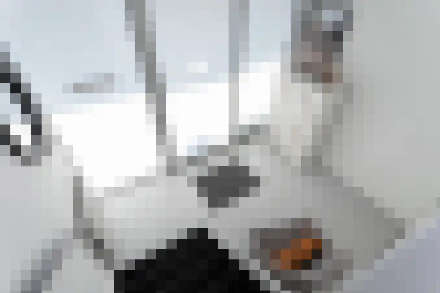 Veldbloemlaan 67 Vleuten thumbnail 30
