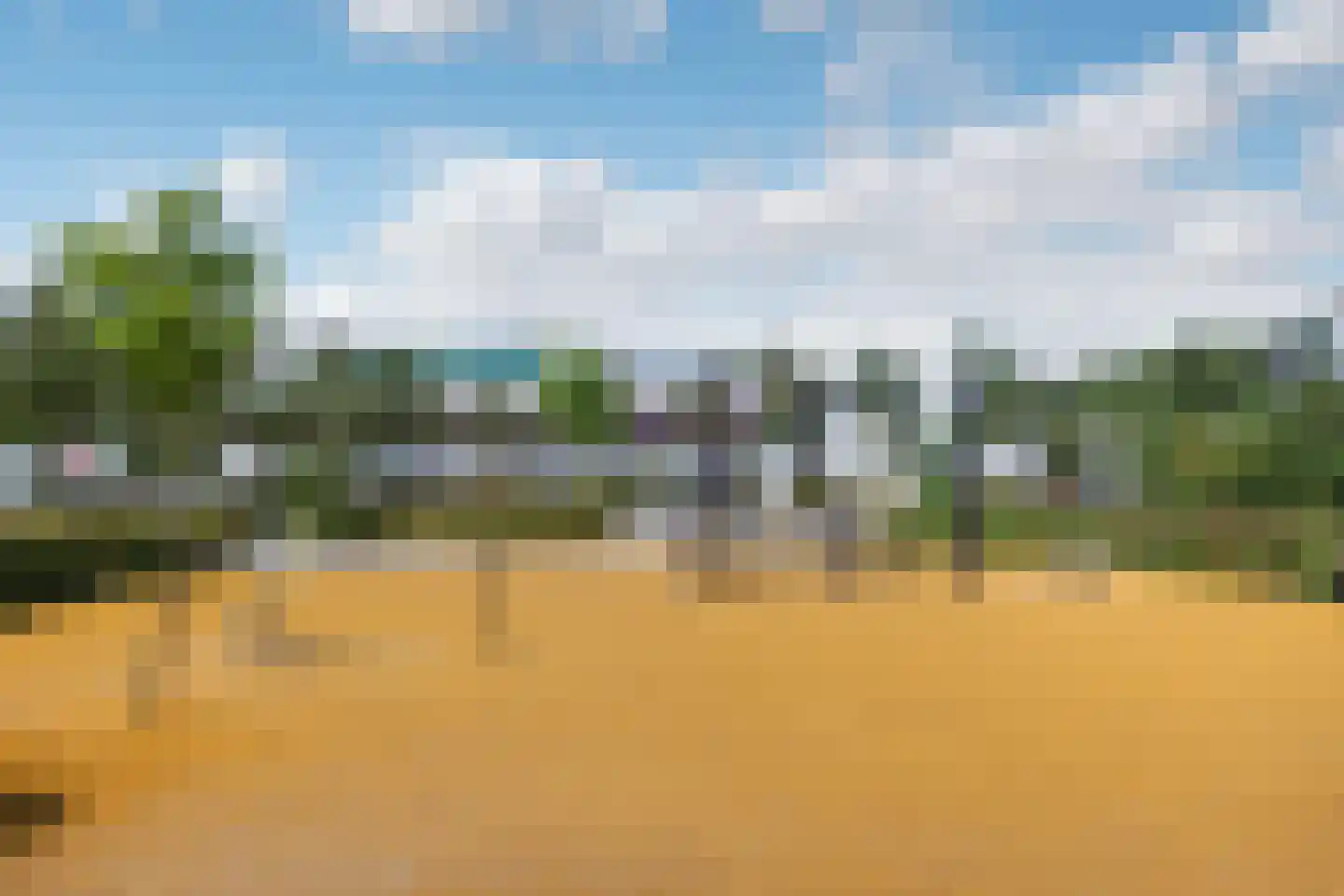 Veldbloemlaan 67 Vleuten thumbnail 38