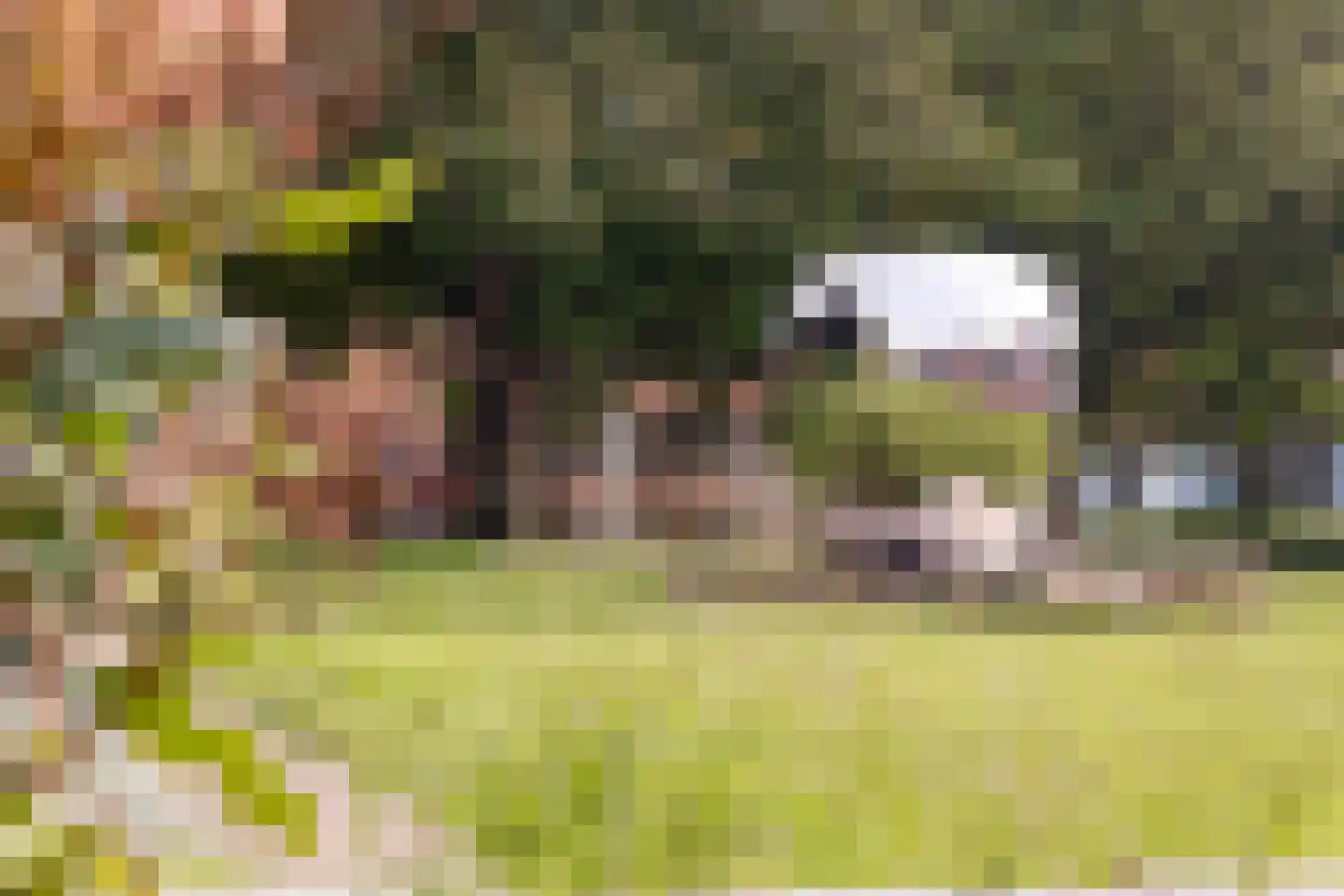 Veldbloemlaan 67 Vleuten thumbnail 42