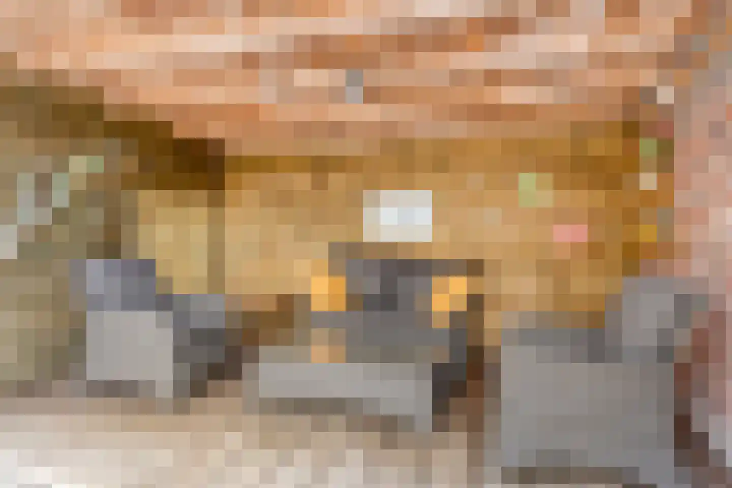 Veldbloemstraat 10 Weert thumbnail 38