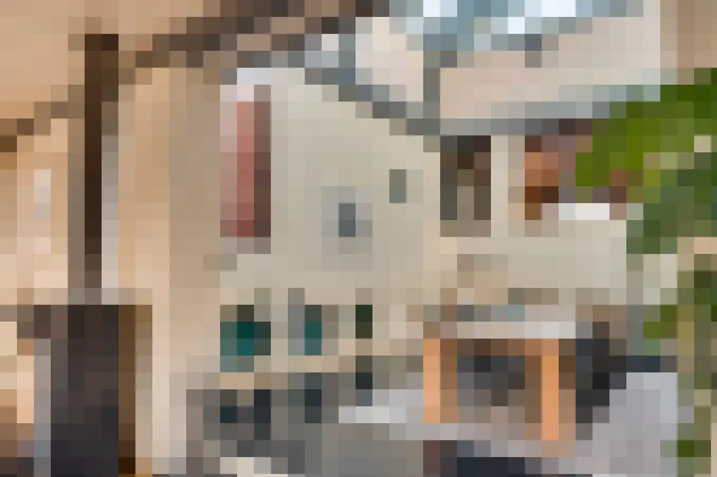 Veldbloemstraat 16 Weert thumbnail 17