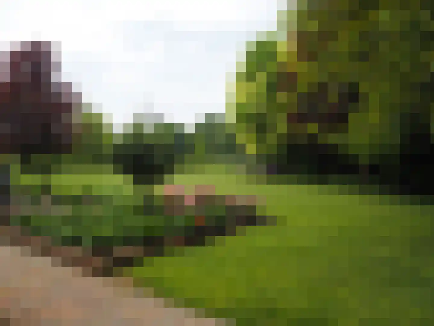 Veldbloemstraat 16 Weert thumbnail 63