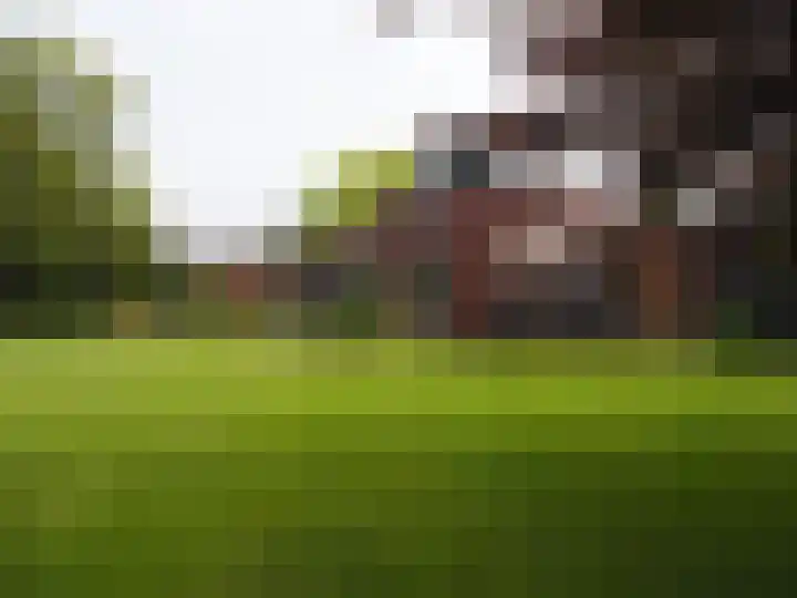 Veldbloemstraat 16 Weert thumbnail 65
