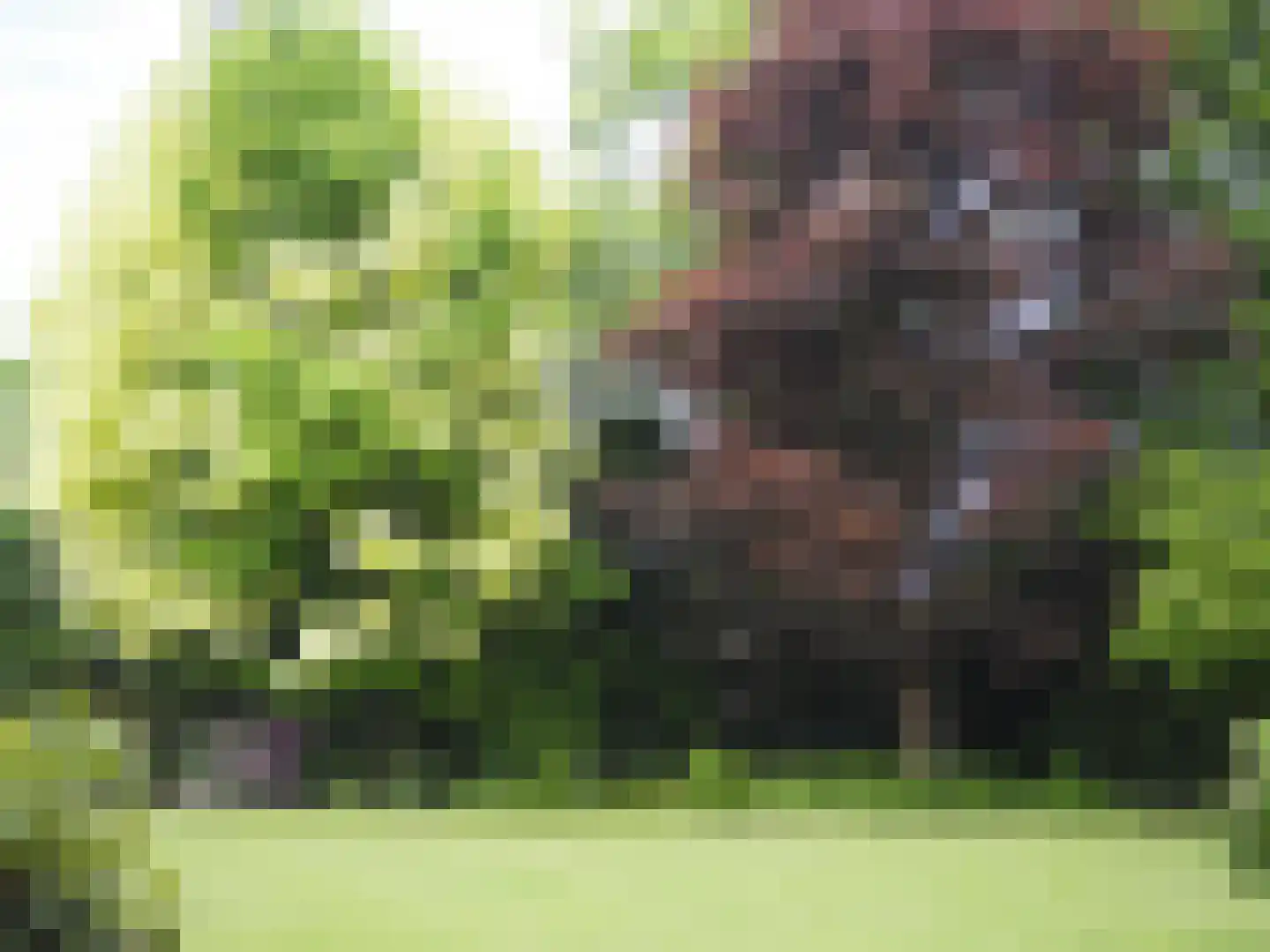 Veldbloemstraat 16 Weert thumbnail 68