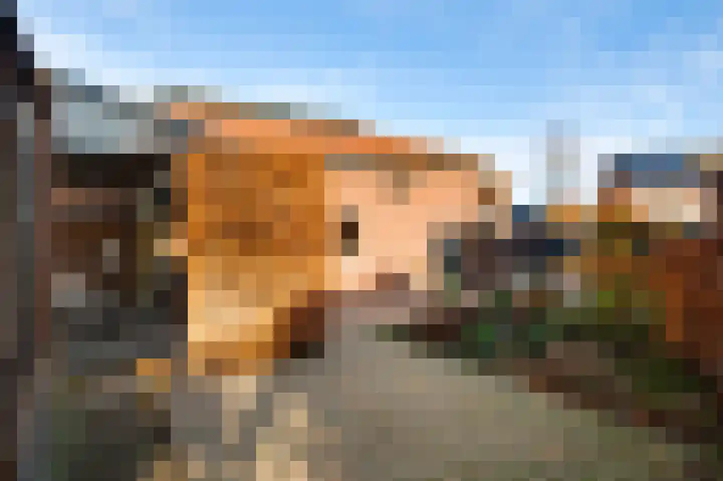 Veldbloemstraat 16 Weert thumbnail 69