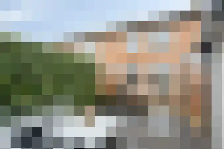 Veldbloemstraat 55 Nieuw-Vennep thumbnail 33