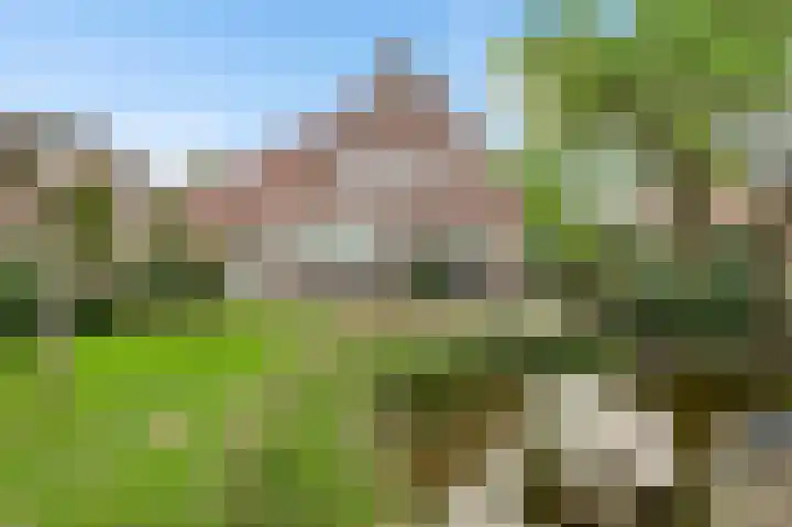 Veldbloemstraat 6 Weert thumbnail 47