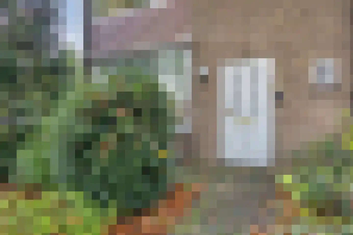 Veldbloemweg 1 Alphen aan den Rijn thumbnail 11