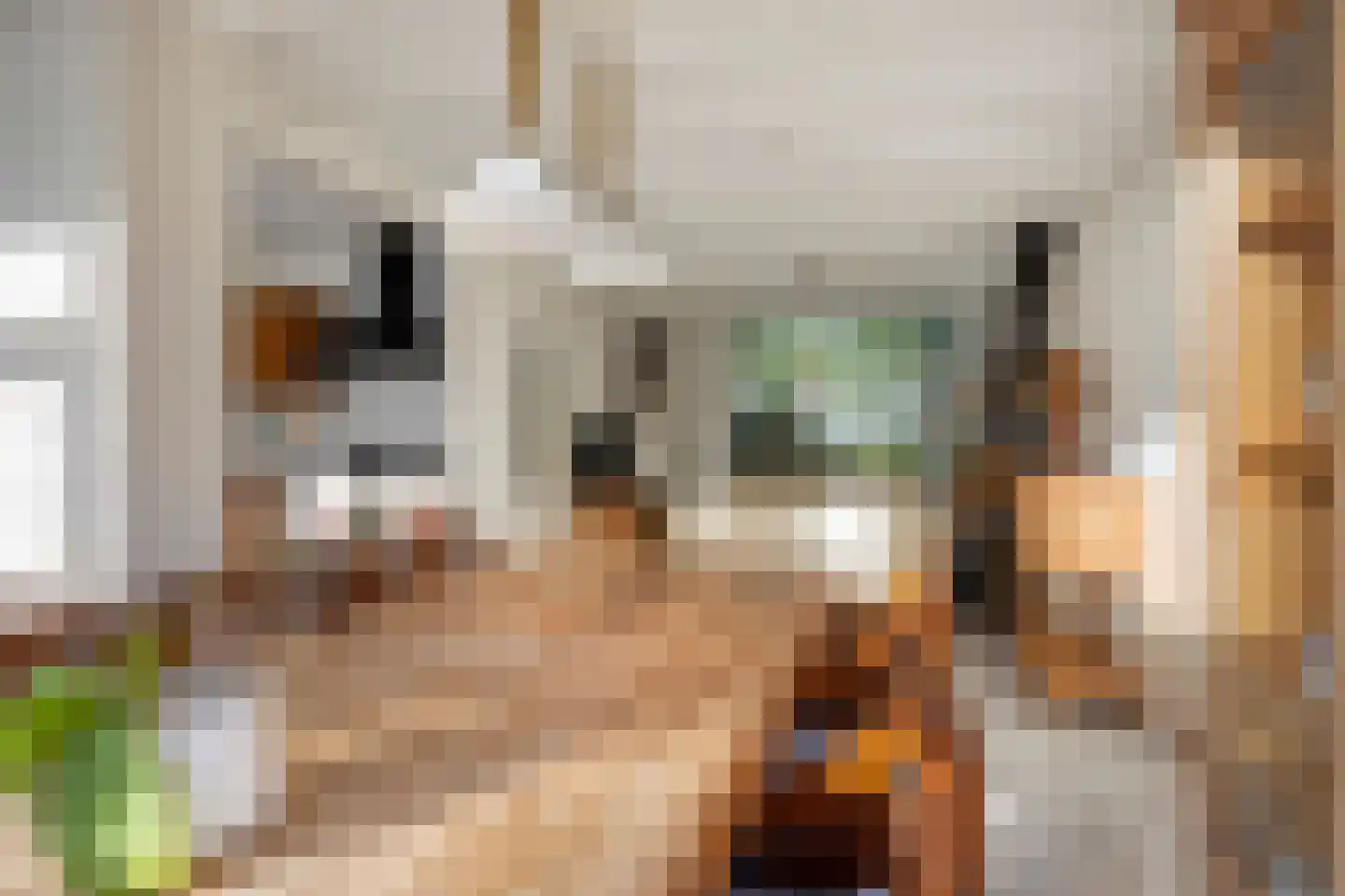Veldbloemweg 1 Alphen aan den Rijn thumbnail 23