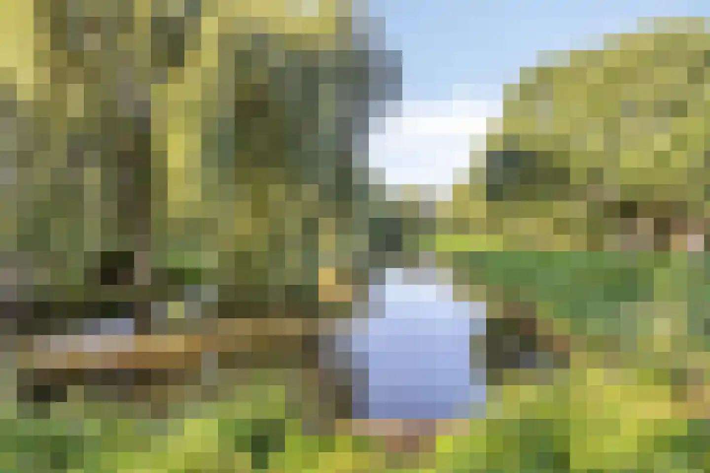 Veldbloemweg 1 Alphen aan den Rijn thumbnail 4