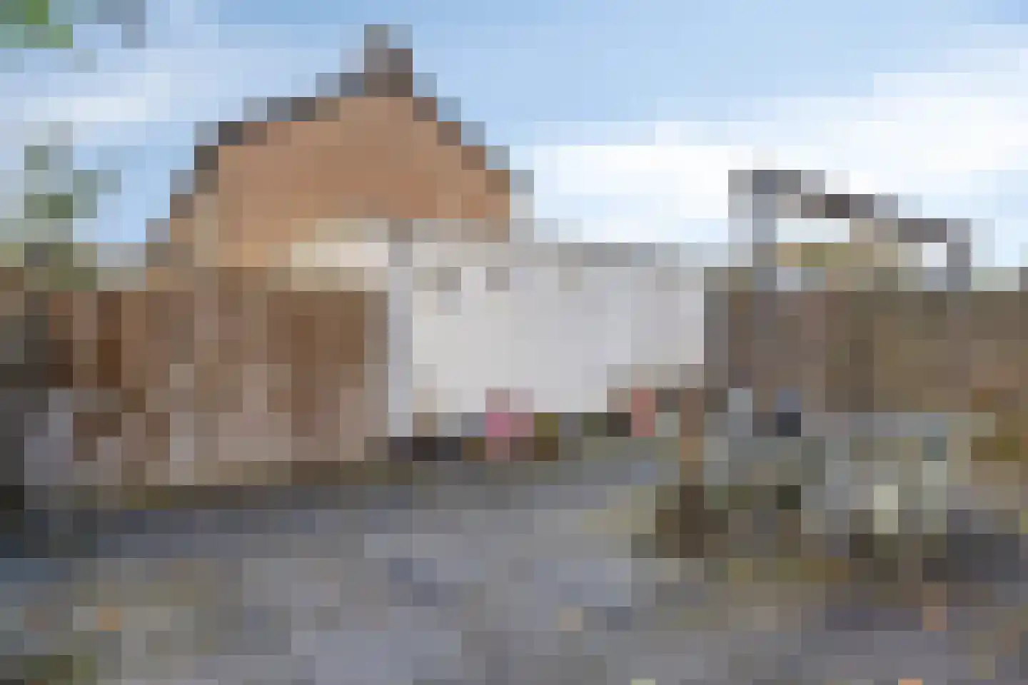 Veldbloemweg 1 Alphen aan den Rijn thumbnail 48