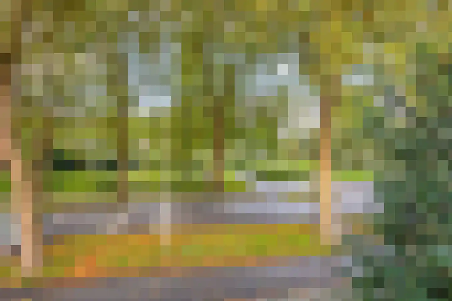 Veldbloemweg 1 Alphen aan den Rijn thumbnail 53