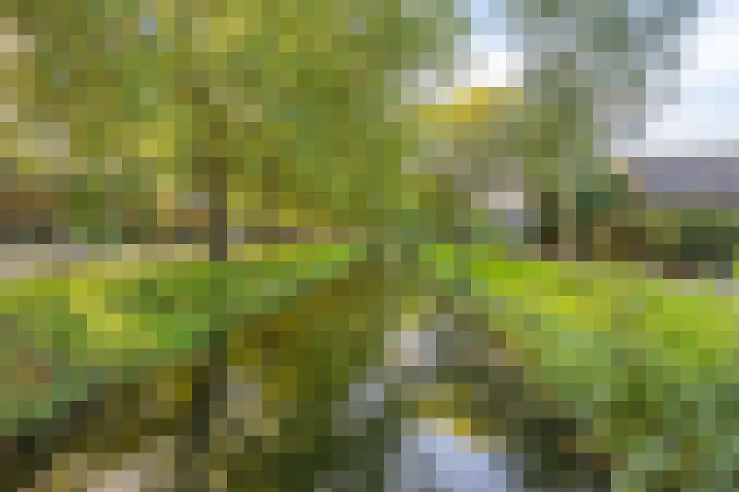 Veldbloemweg 1 Alphen aan den Rijn thumbnail 56