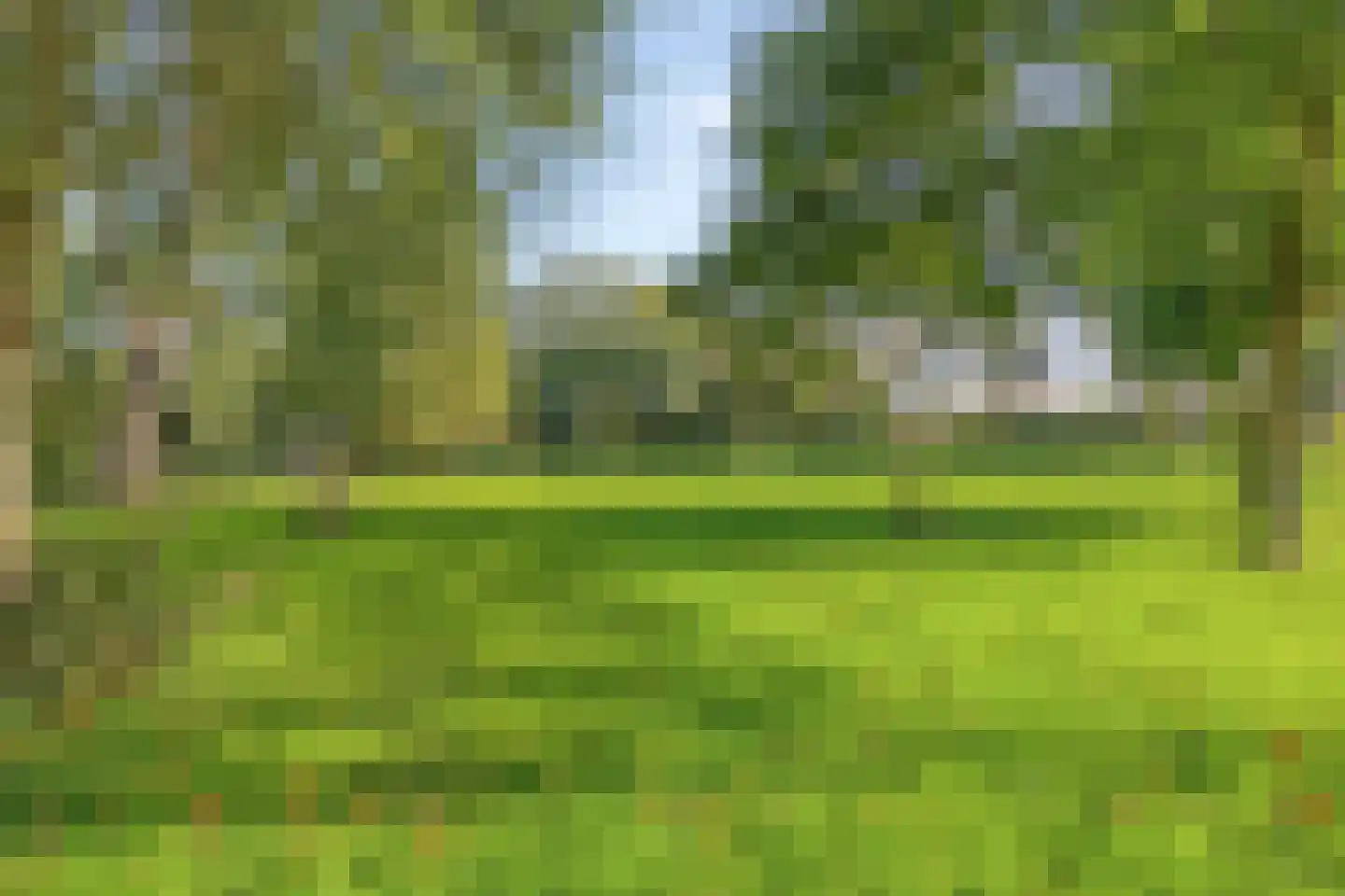 Veldbloemweg 1 Alphen aan den Rijn thumbnail 9