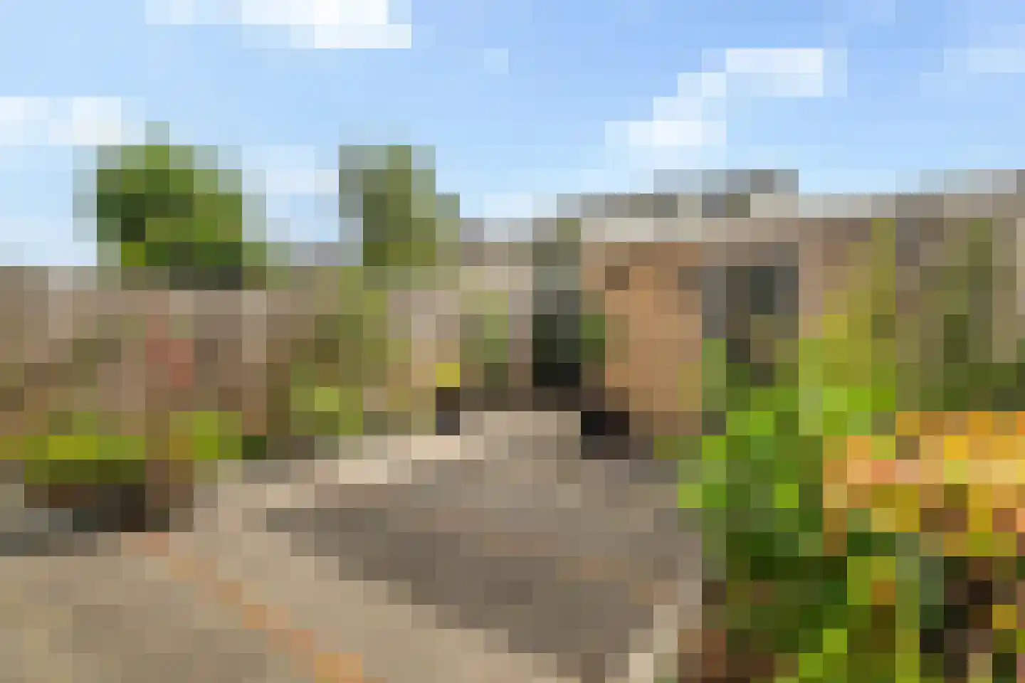 Veldbloemweg 41 Alphen aan den Rijn thumbnail 18