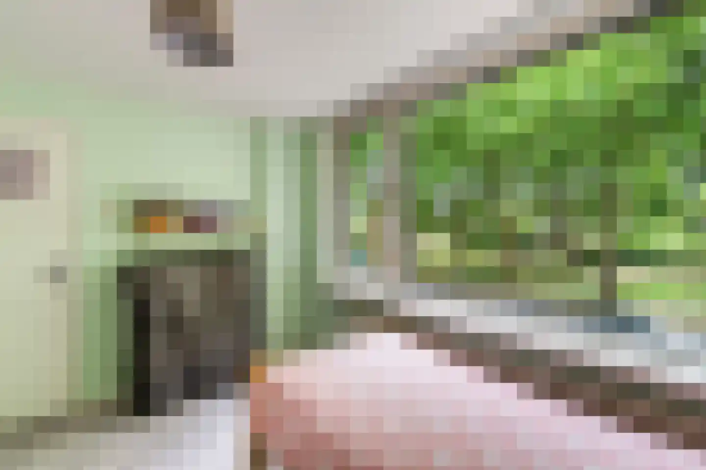 Veldbloemweg 41 Alphen aan den Rijn thumbnail 29