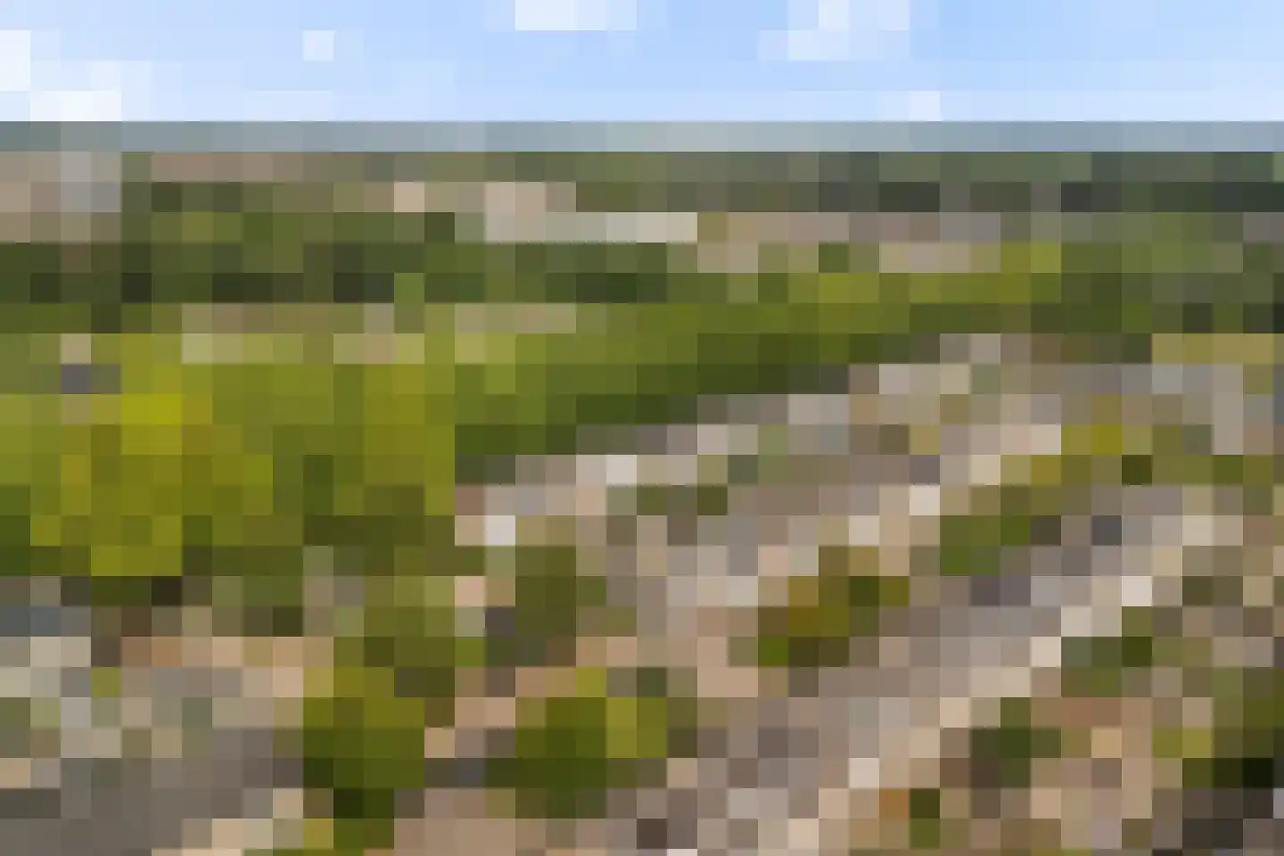Veldbloemweg 41 Alphen aan den Rijn thumbnail 36
