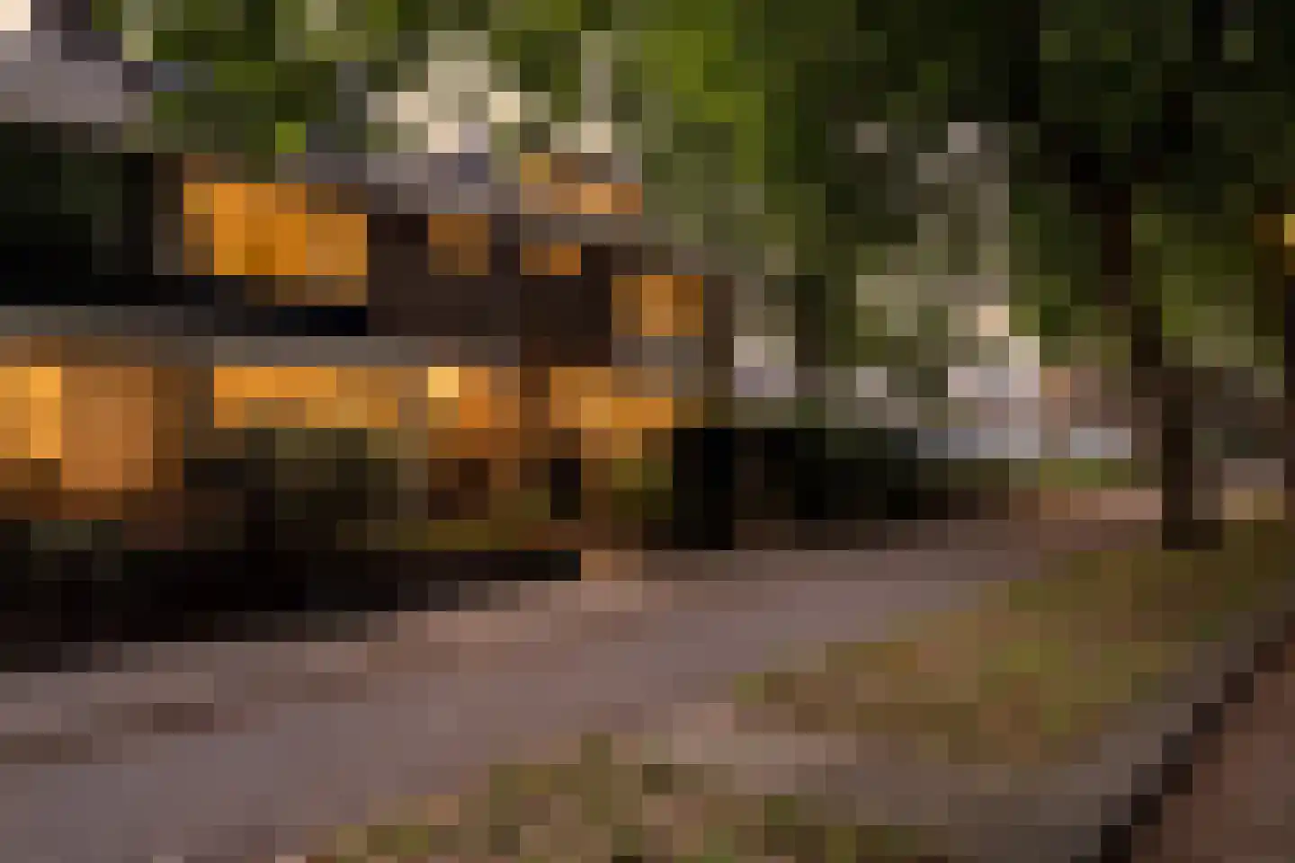Veldbloemweg 41 Alphen aan den Rijn thumbnail 5