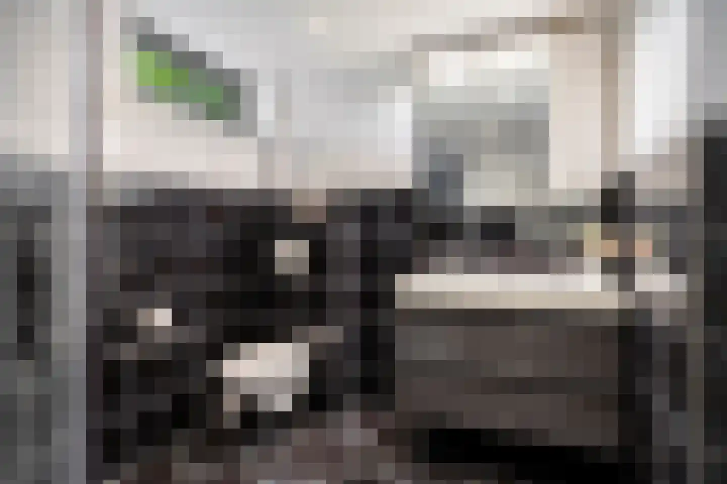 Veldbloemweg 47 Alphen aan den Rijn thumbnail 22