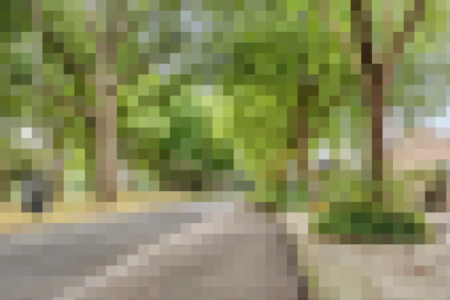 Veldbloemweg 47 Alphen aan den Rijn thumbnail 37