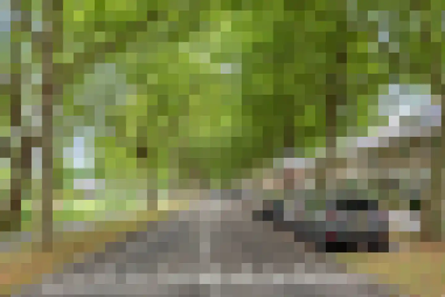 Veldbloemweg 47 Alphen aan den Rijn thumbnail 38