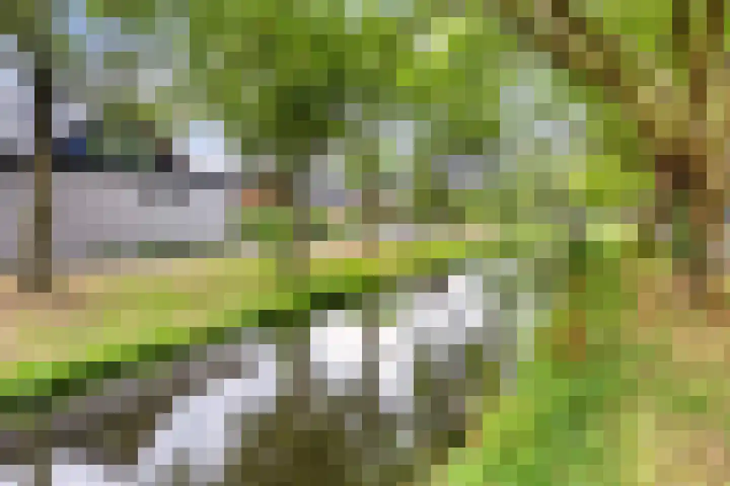 Veldbloemweg 47 Alphen aan den Rijn thumbnail 39