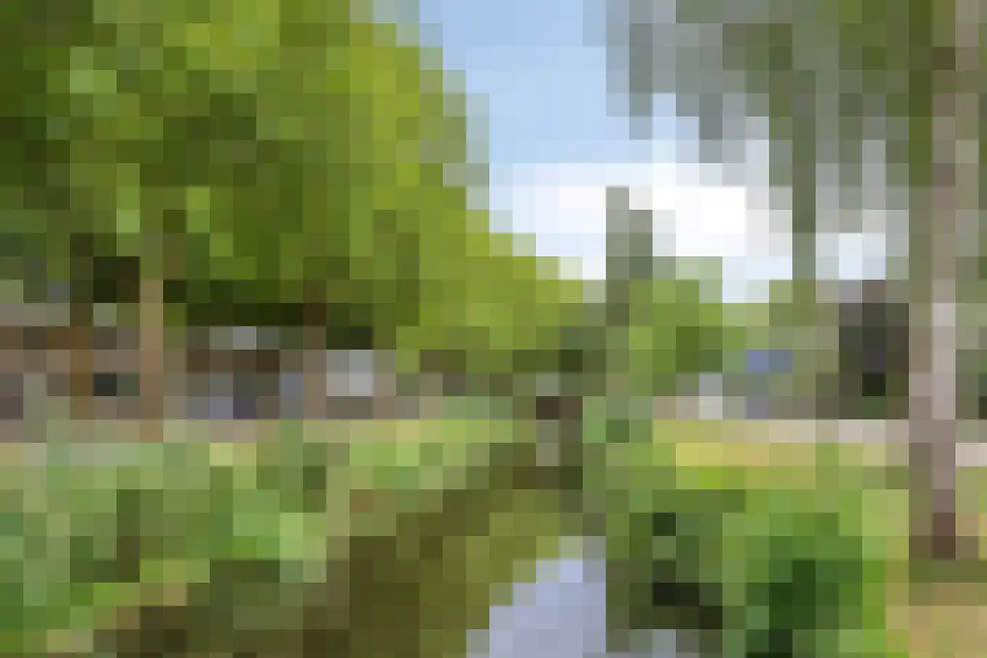 Veldbloemweg 47 Alphen aan den Rijn thumbnail 40