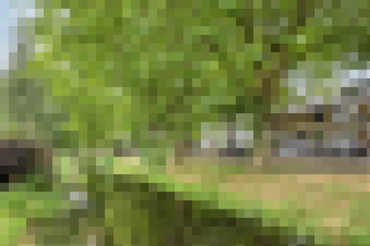 Veldbloemweg 47 Alphen aan den Rijn thumbnail 41