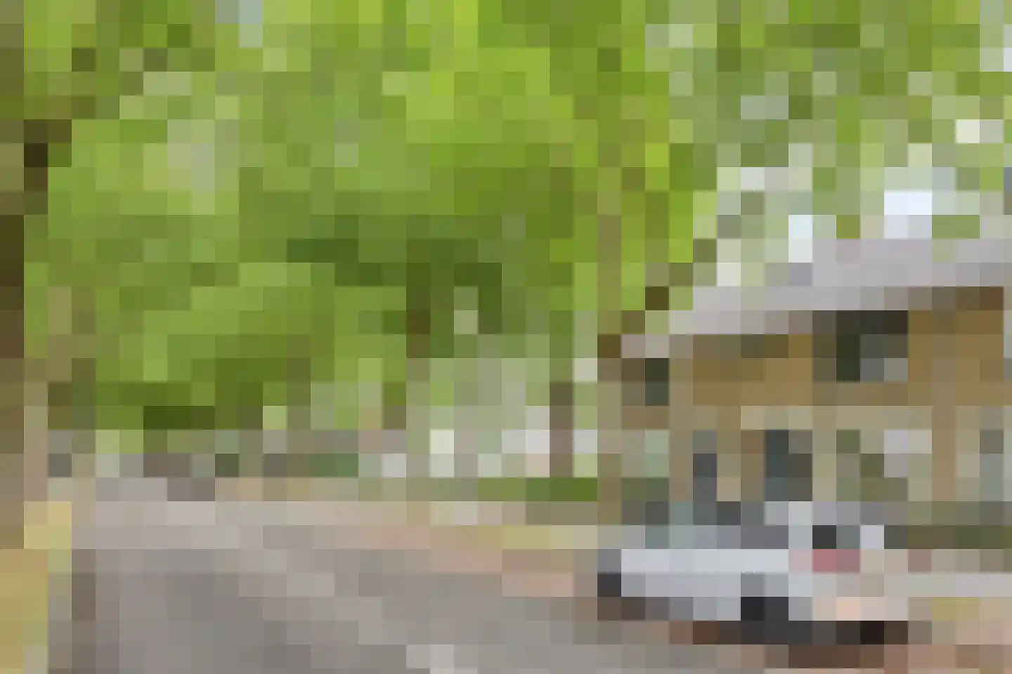 Veldbloemweg 47 Alphen aan den Rijn thumbnail 42