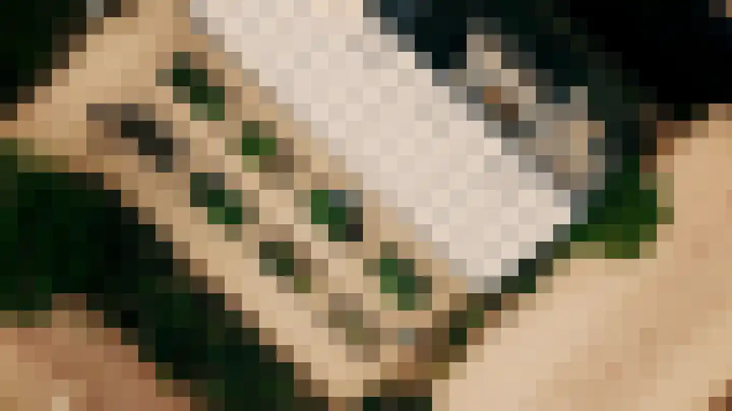 Velddorp 31 Amersfoort thumbnail 12