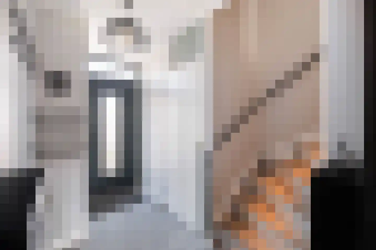 Velddreef 103 Zoetermeer thumbnail 10