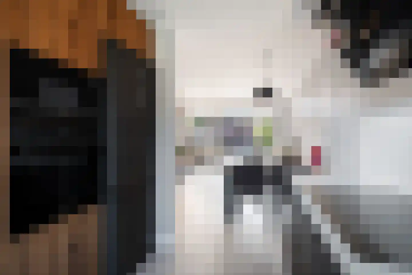 Velddreef 103 Zoetermeer thumbnail 19