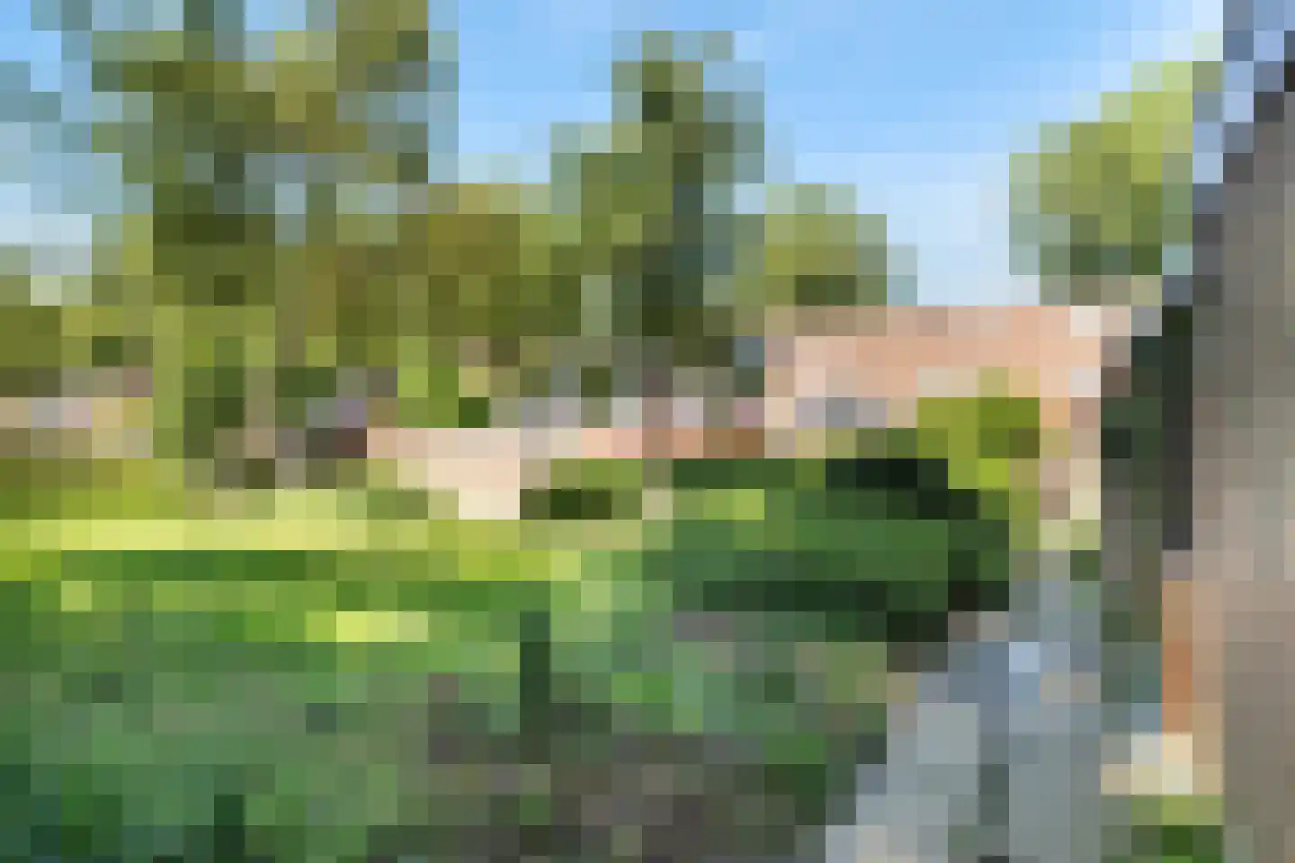 Velddreef 103 Zoetermeer thumbnail 29