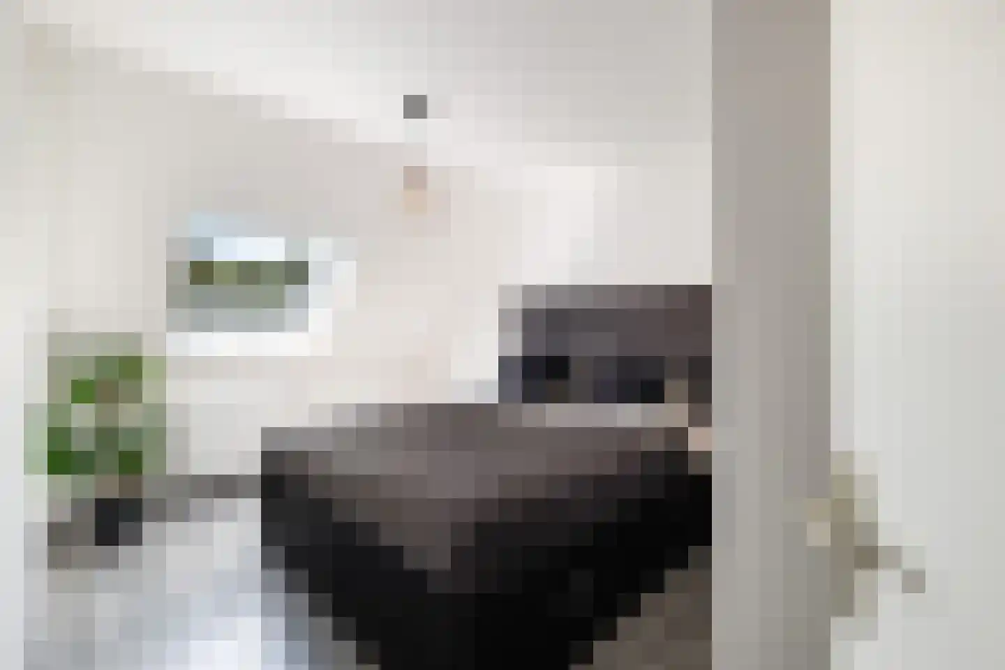 Velddreef 103 Zoetermeer thumbnail 32