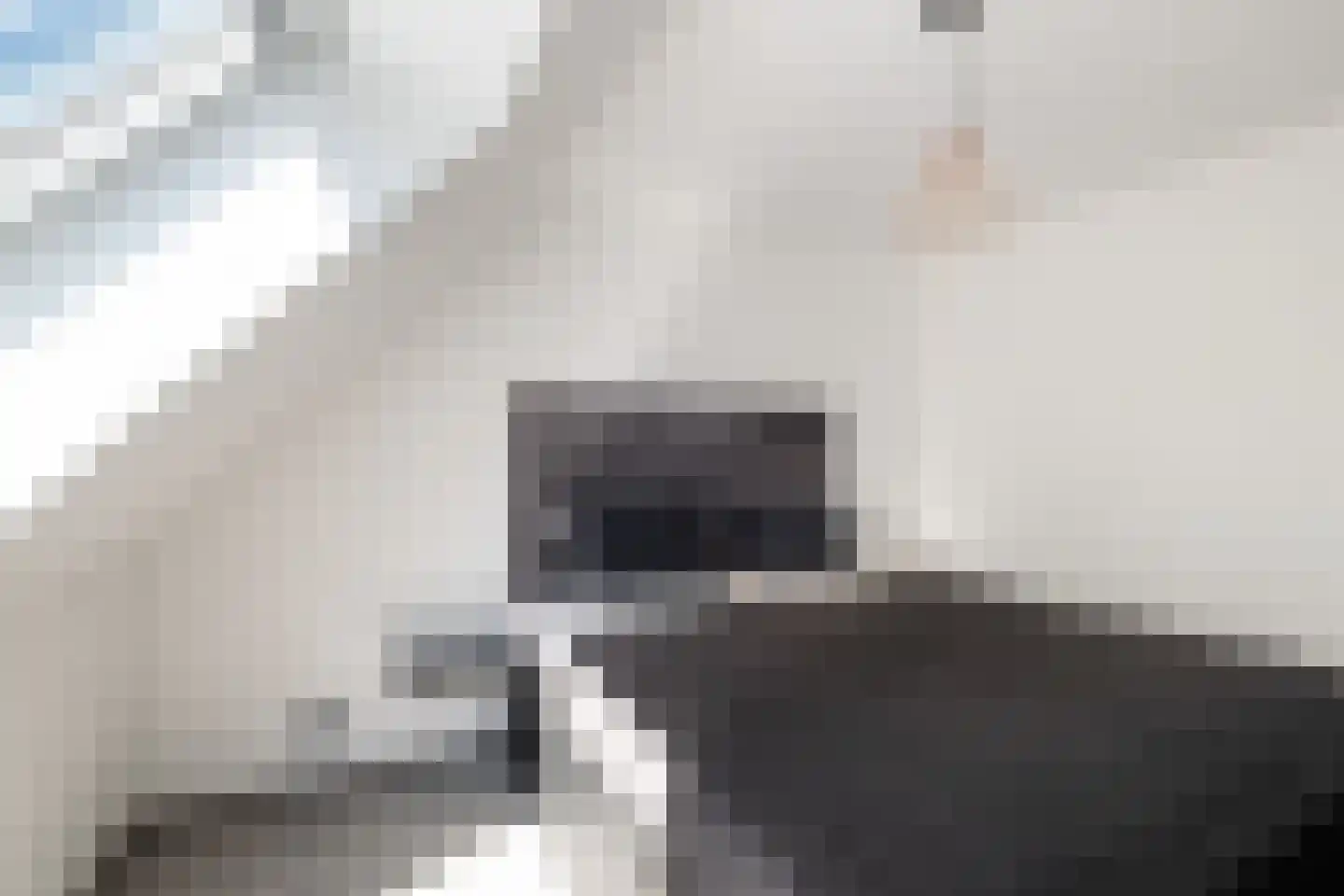 Velddreef 103 Zoetermeer thumbnail 34