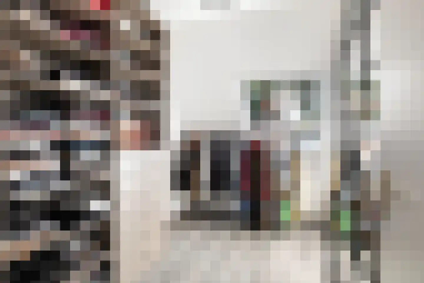 Velddreef 103 Zoetermeer thumbnail 41