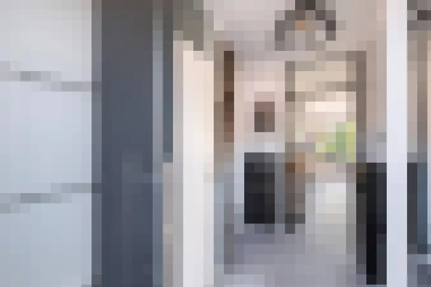 Velddreef 103 Zoetermeer thumbnail 9