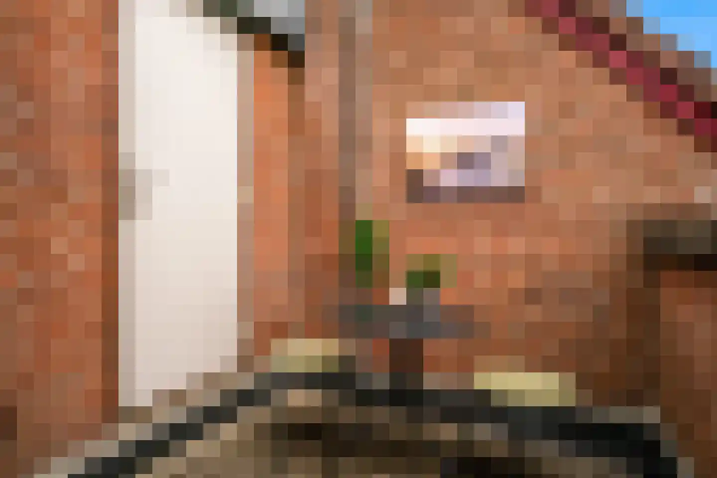 Velddreef 154 Zoetermeer thumbnail 20
