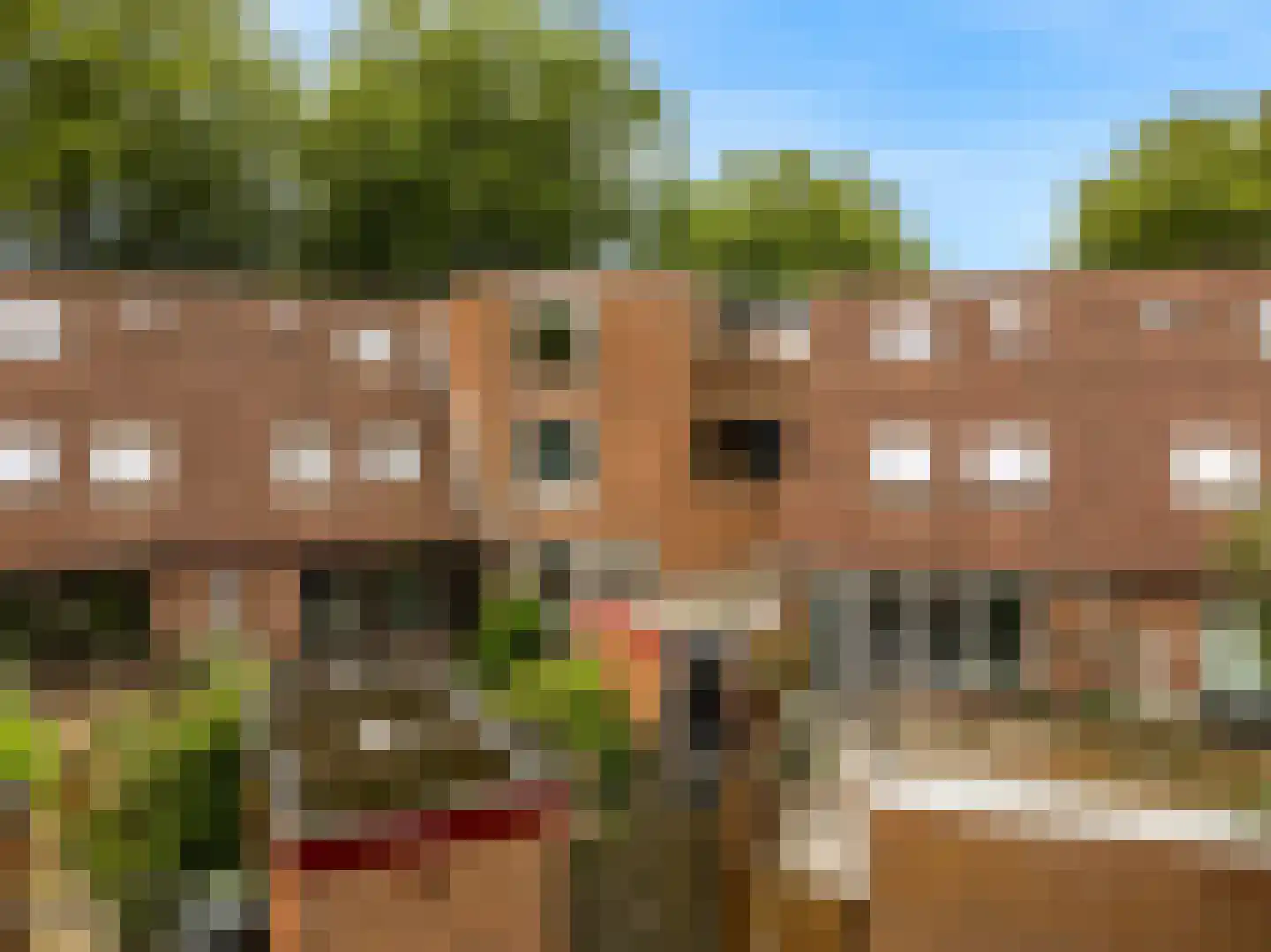 Velddreef 154 Zoetermeer thumbnail 22