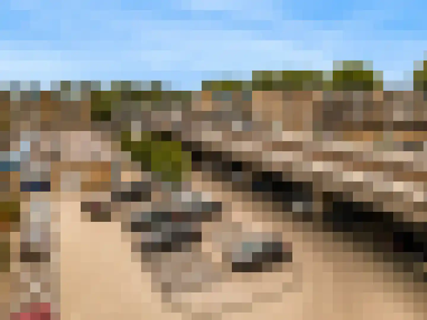 Velddreef 154 Zoetermeer thumbnail 25