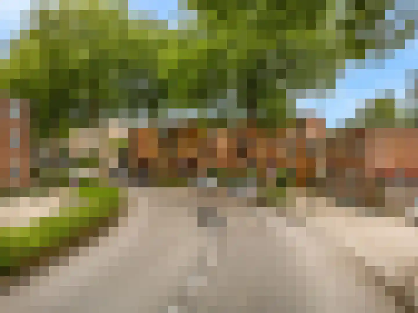 Velddreef 154 Zoetermeer thumbnail 26