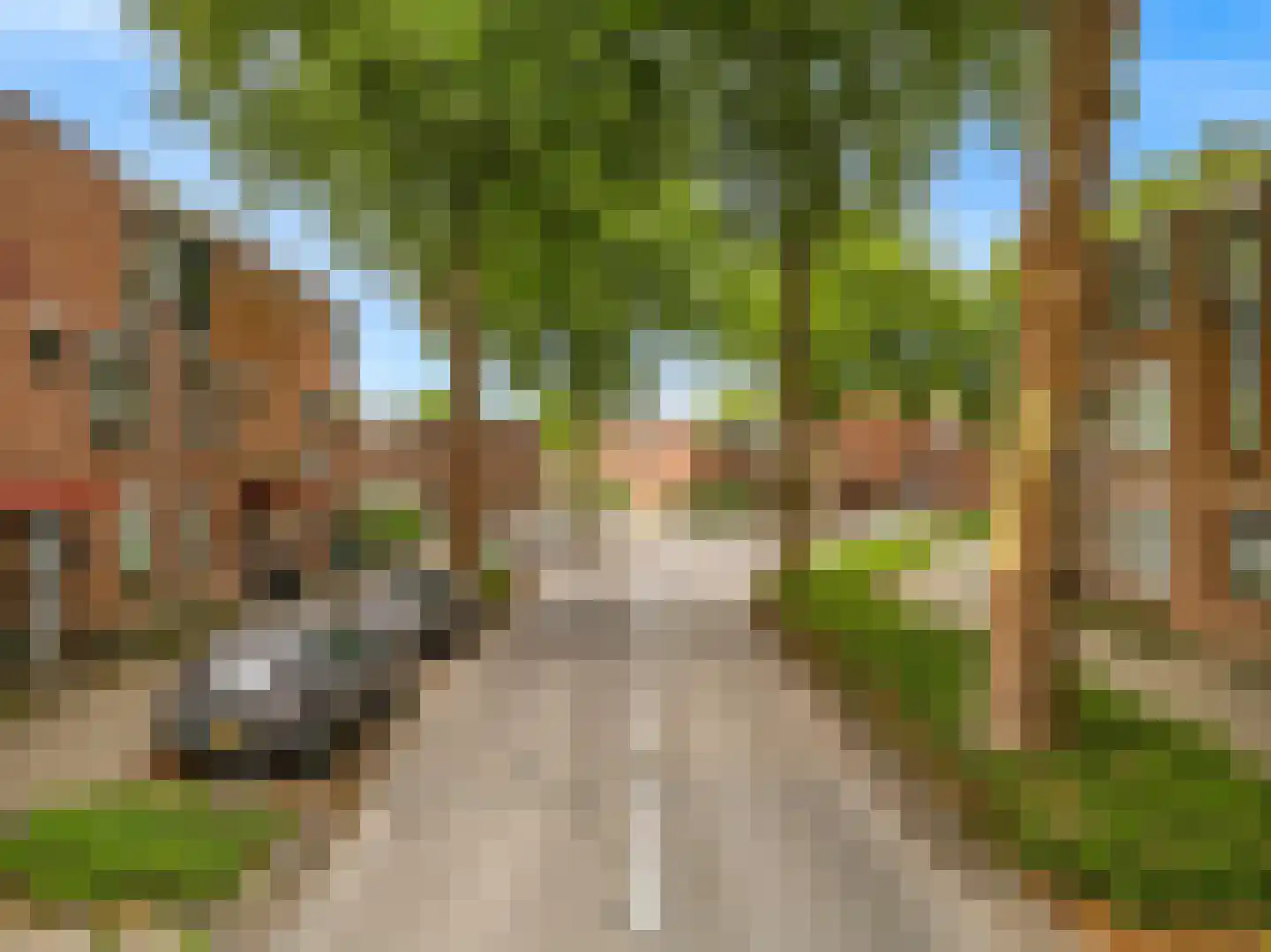 Velddreef 154 Zoetermeer thumbnail 28